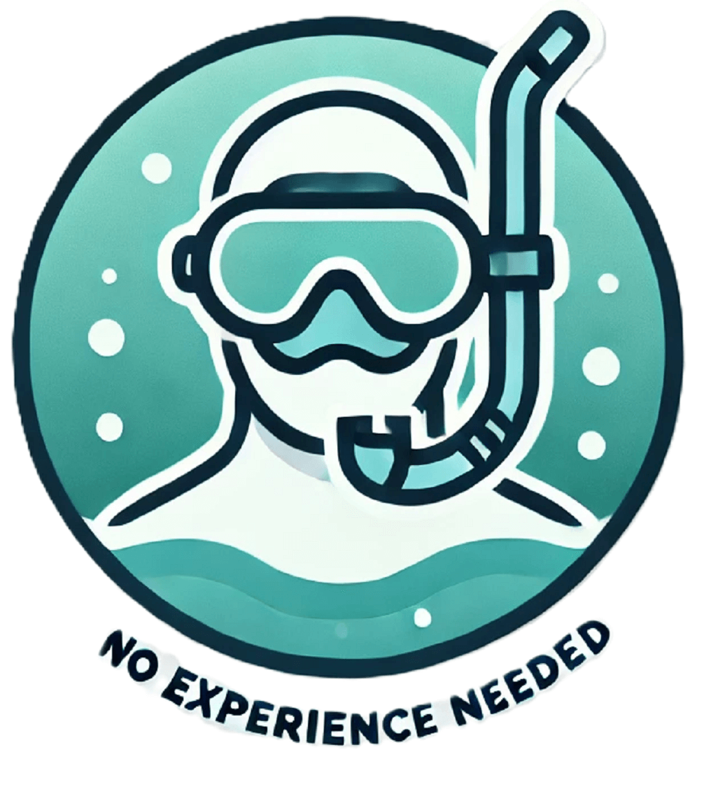 No Experience Needed